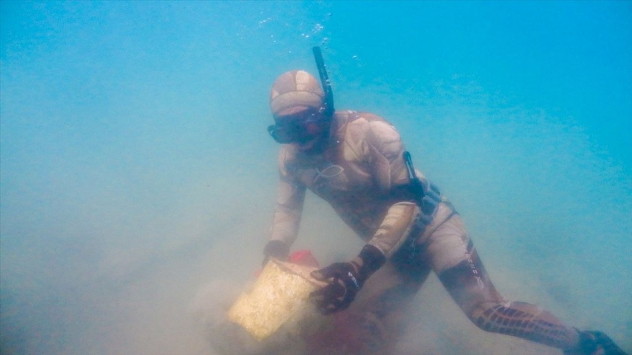 Bodrum'da Gönüllü Dalgıçlardan Deniz Dibi Temizliği