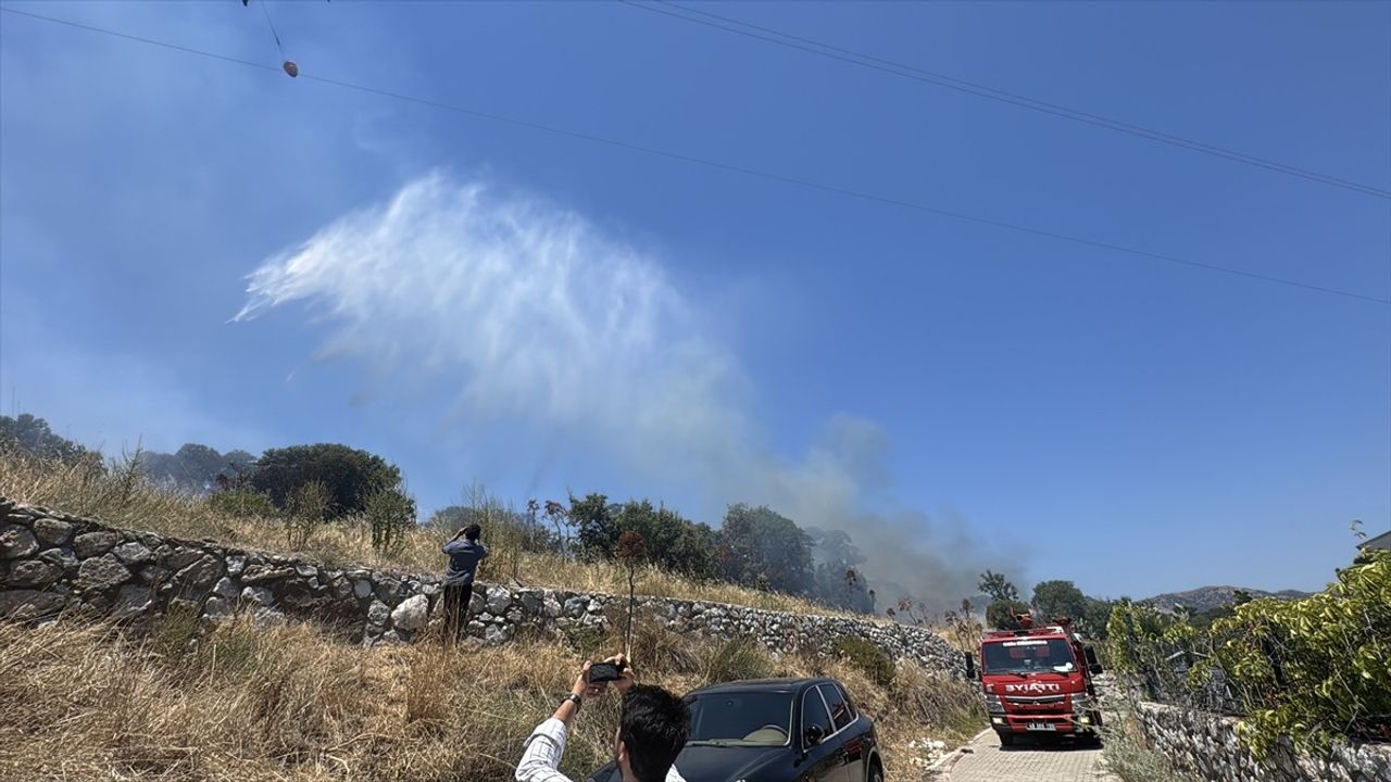 Bodrum'da Tarım Arazisinde Yangın Kontrol Altına Alındı