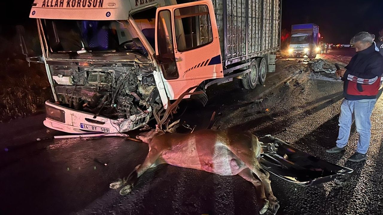 Bolu'da Yola Çıkan Geyiğin Neden Olduğu Kazada 1 Ölü, 1 Yaralı