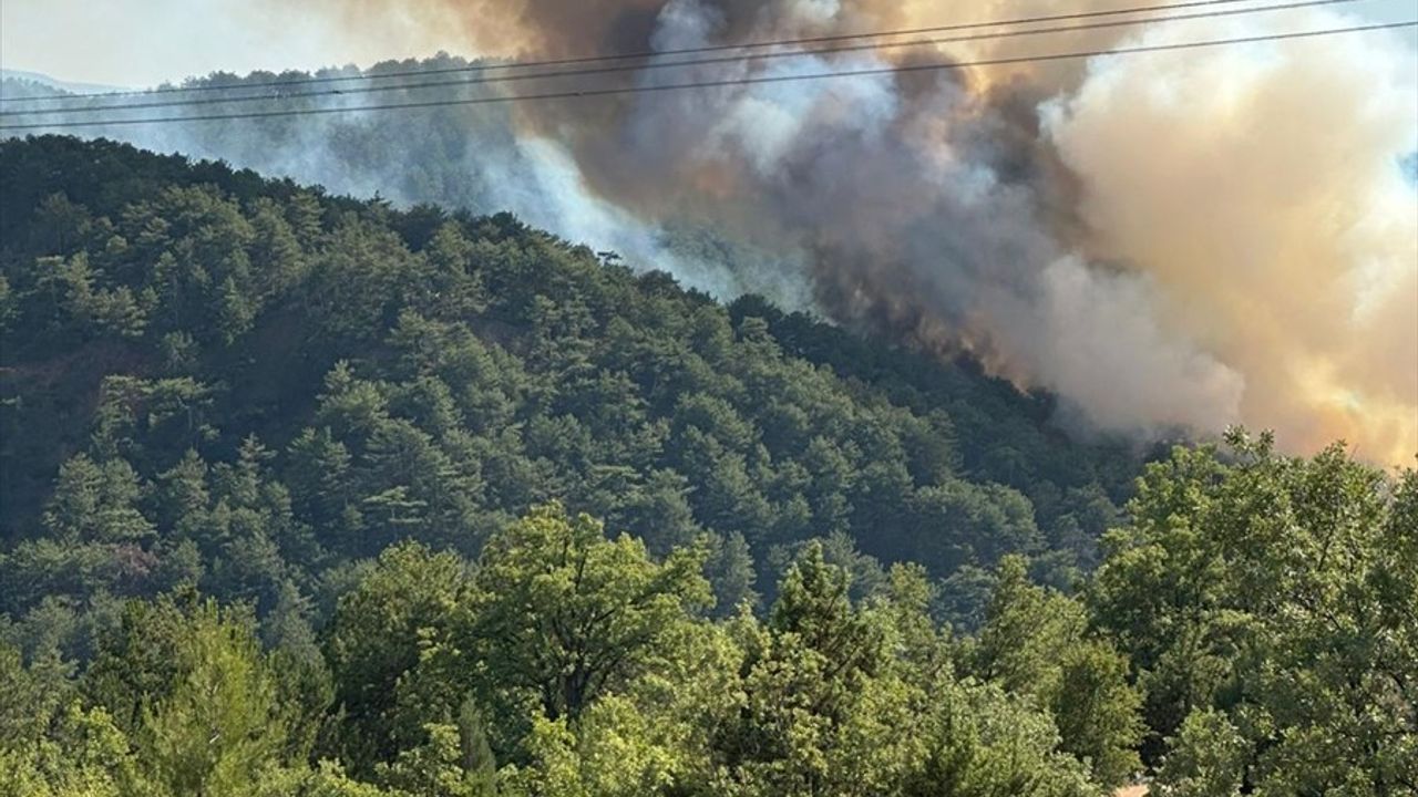 Bolu Göynük'te Orman Yangınına Müdahale Ediliyor