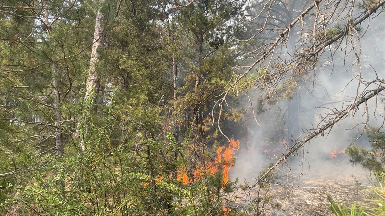 Bolu Mudurnu'daki Orman Yangını Kontrol Altına Alındı