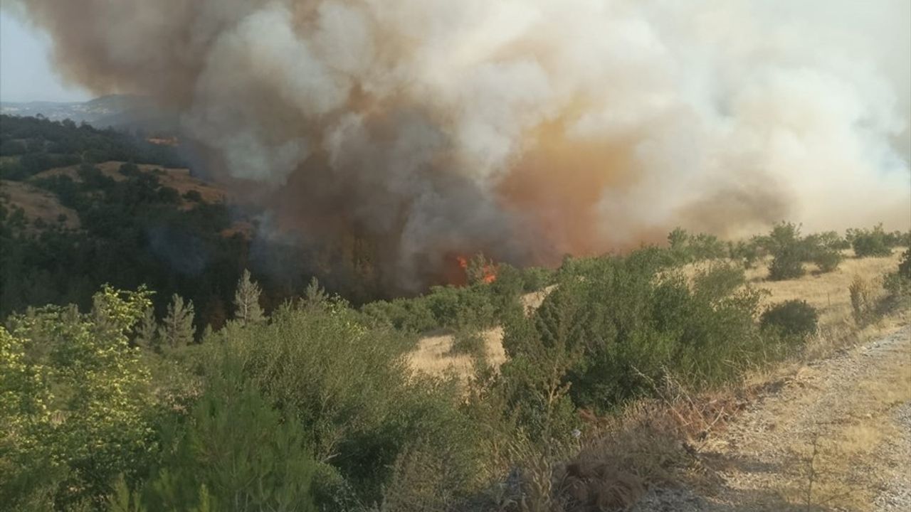 Bursa-Balıkesir Sınırında Orman Yangınına Müdahale Ediliyor