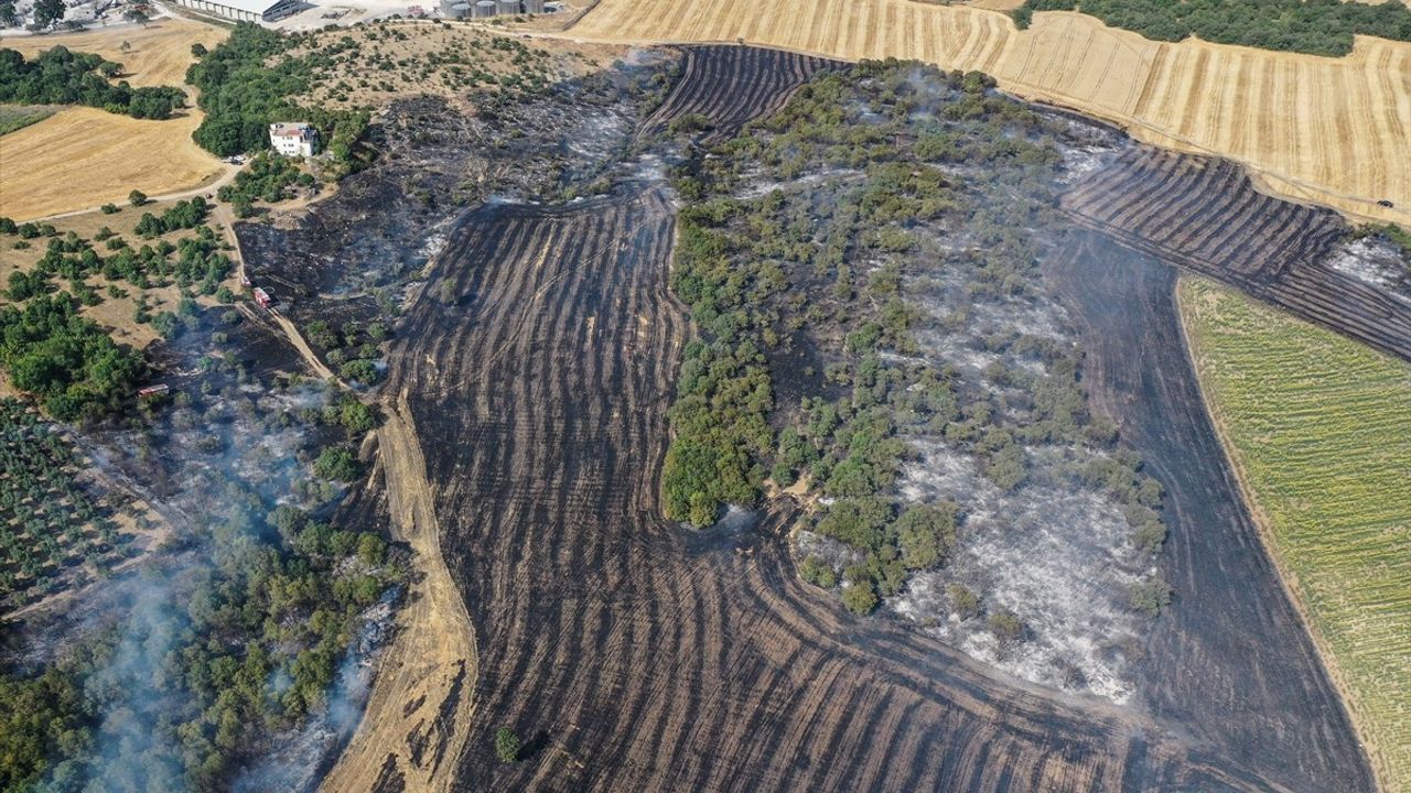 Bursa'da Arazideki Yangın, Ormana Sıçramadan Kontrol Altına Alındı