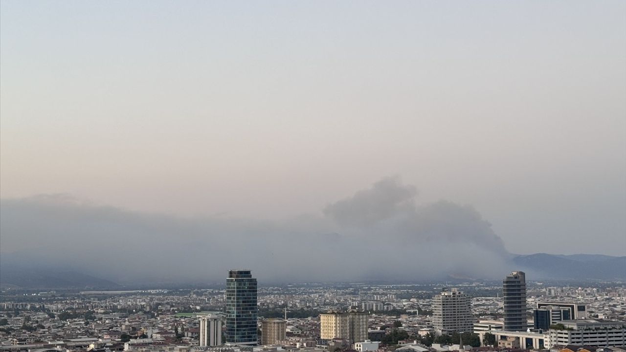 Bursa'da Gürsu ve Kestel Arasındaki Orman Yangınına Müdahale Ediliyor