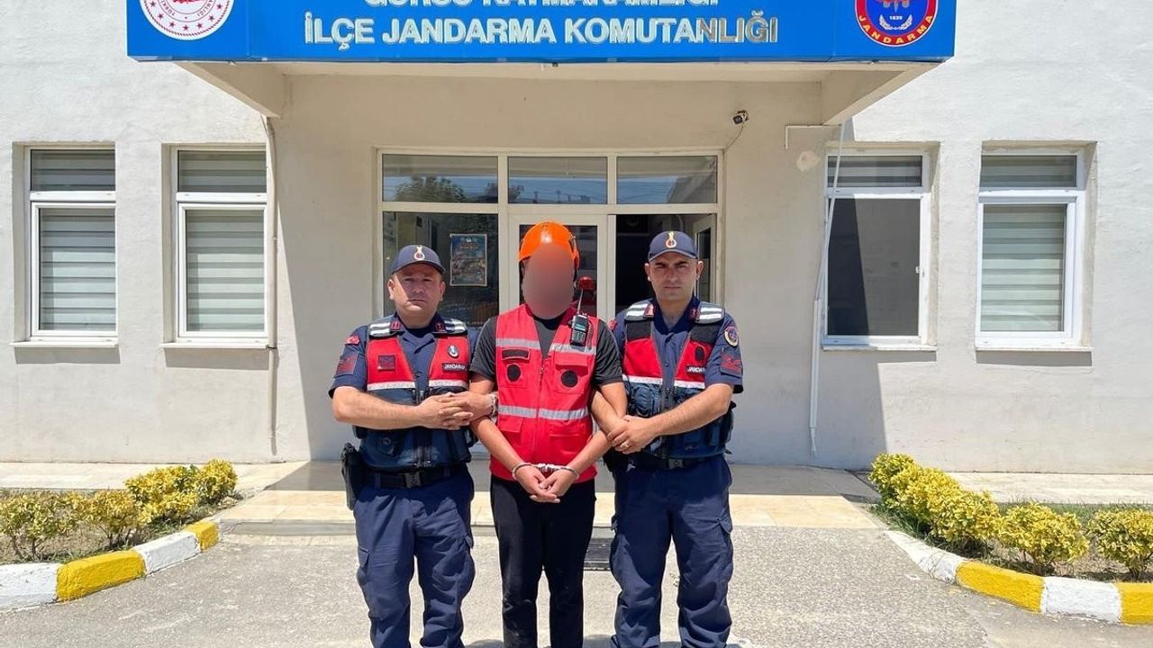 Bursa'da Orman Yangını Bölgesinde Suç Kaydı Olan Şüpheli Yakalandı