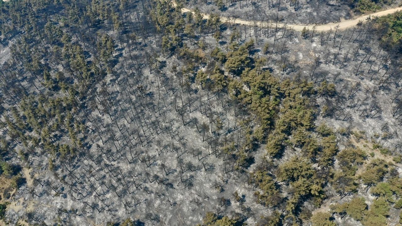 Bursa'da Orman Yangınına 3. Gündeki Mücadele Devam Ediyor