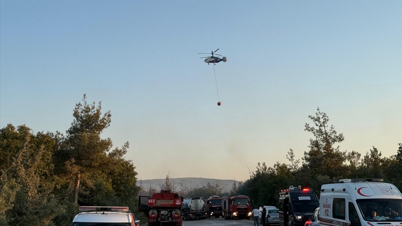 Bursa'da Orman Yangınına Hava ve Kara Müdahalesi