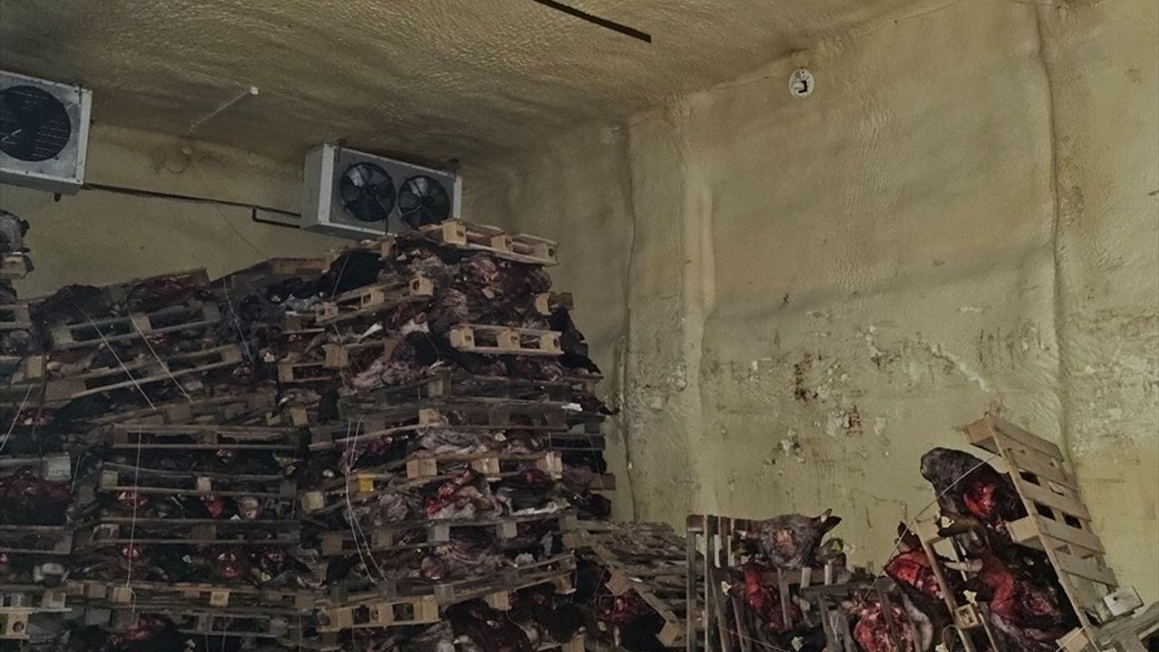 Bursa'da Ruhsatsız Et Depolayan İşletme Mühürlendi