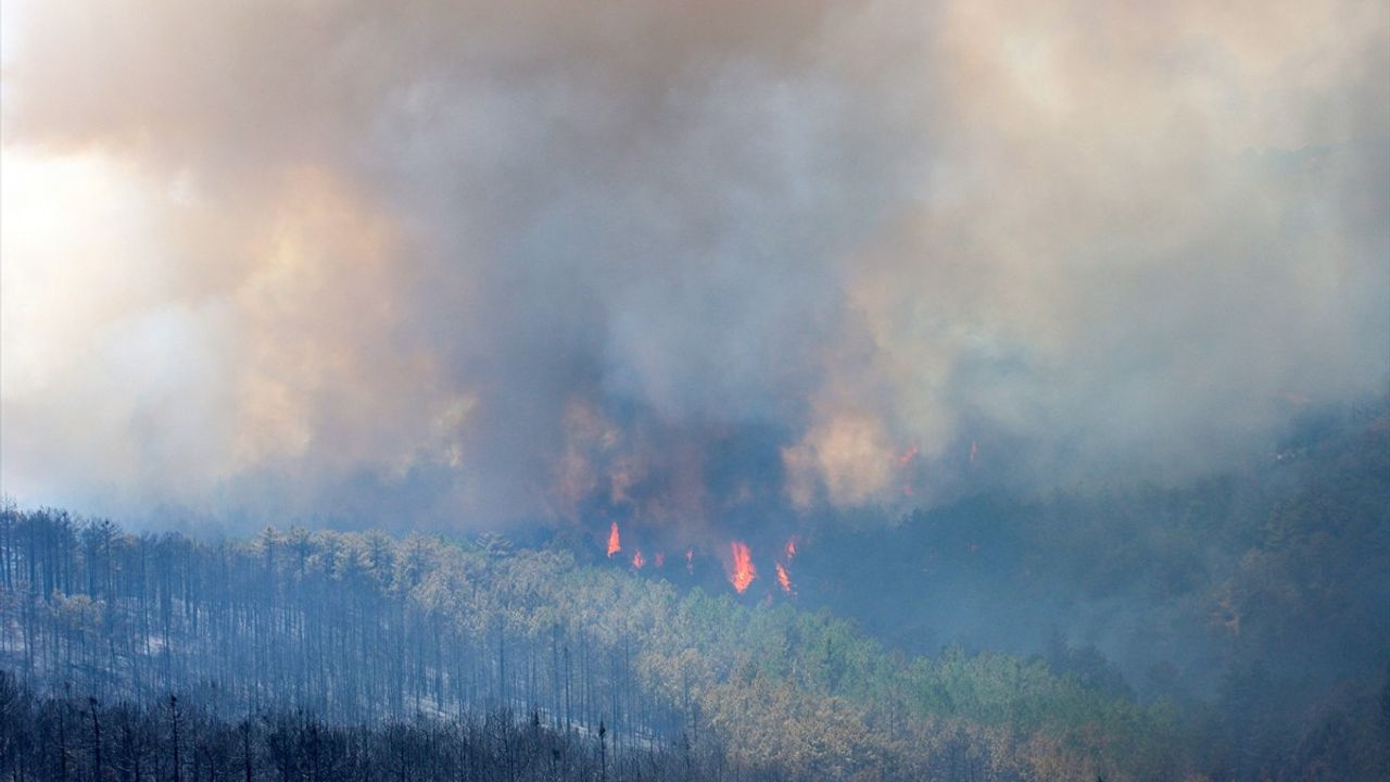 Bursa'daki Orman Yangını Üçüncü Gününde Kontrol Altına Almaya Çalışılıyor