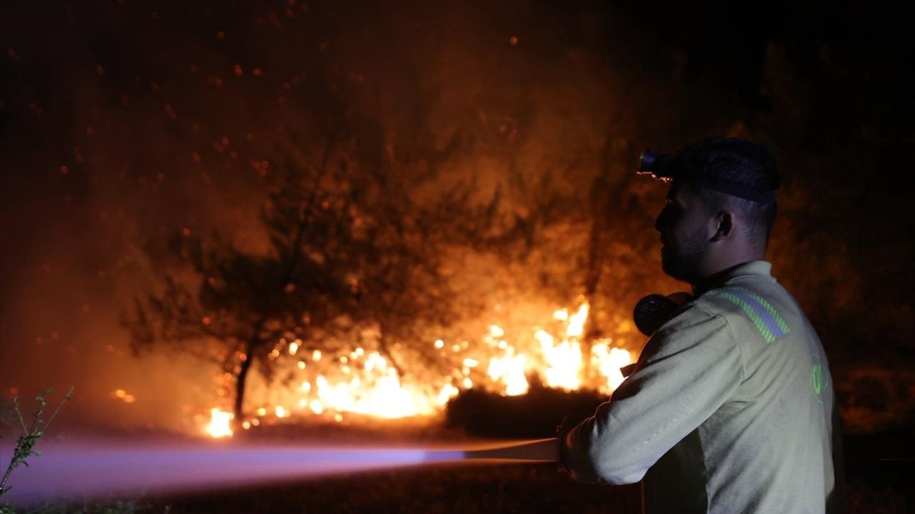 Bursa'daki Orman Yangınına Hava ve Kara Müdahalesi Devam Ediyor
