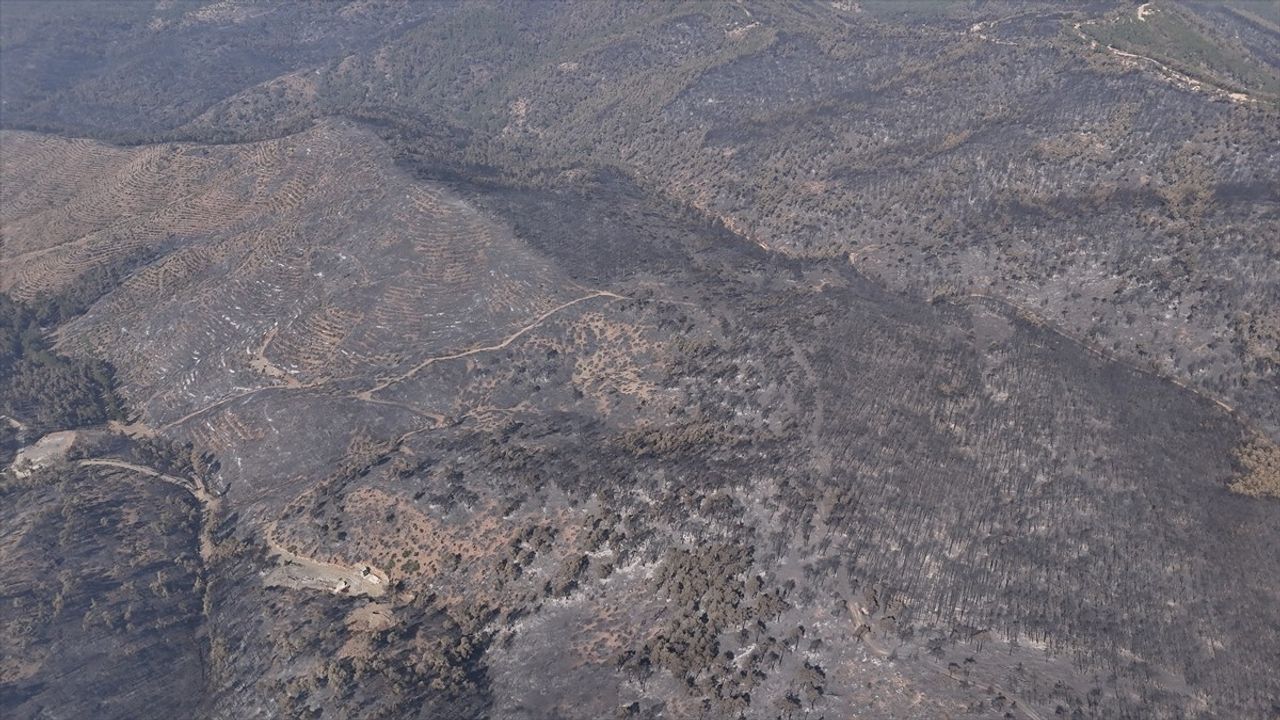 Bursa'daki Orman Yangınına Müdahale 5. Günde Devam Ediyor