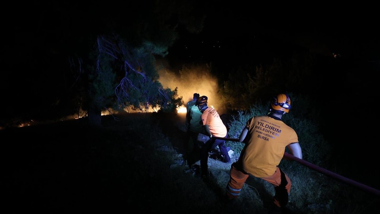 Bursa'daki Orman Yangınına Müdahale Devam Ediyor