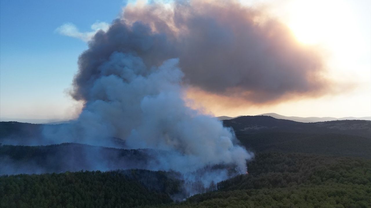 Bursa'daki Orman Yangınında Müdahale Devam Ediyor