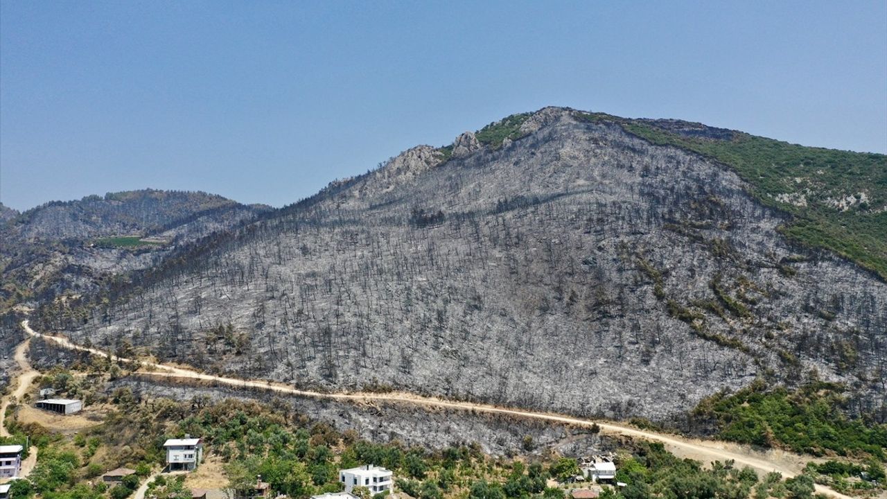 Bursa’daki Orman Yangınından Son Anda Kurtulan Karahıdır Mahallesi Sakinleri Yaşadıklarını Paylaştı