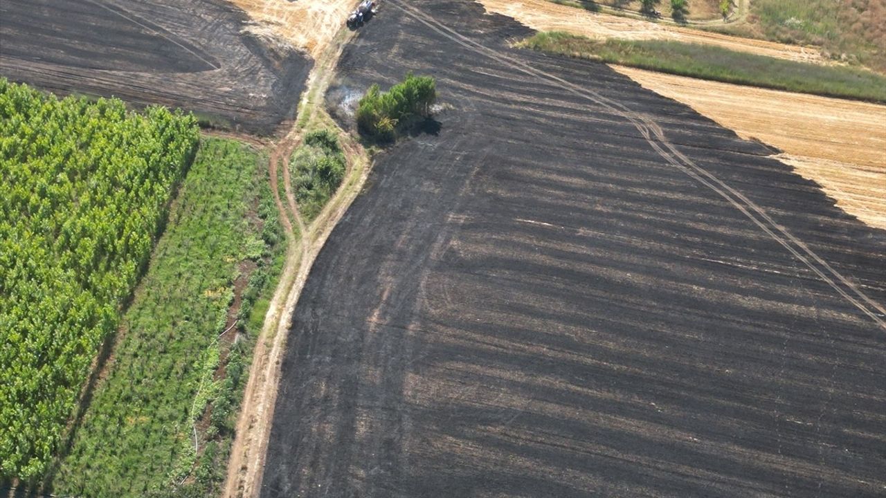 Bursa Kestel'de Anız Yangını Kontrol Altına Alındı