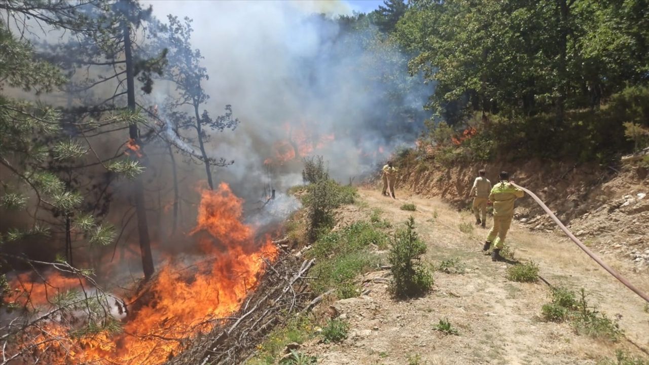 Bursa'nın İnegöl ve Mustafakemalpaşa ilçelerinde orman yangınına müdahale devam ediyor