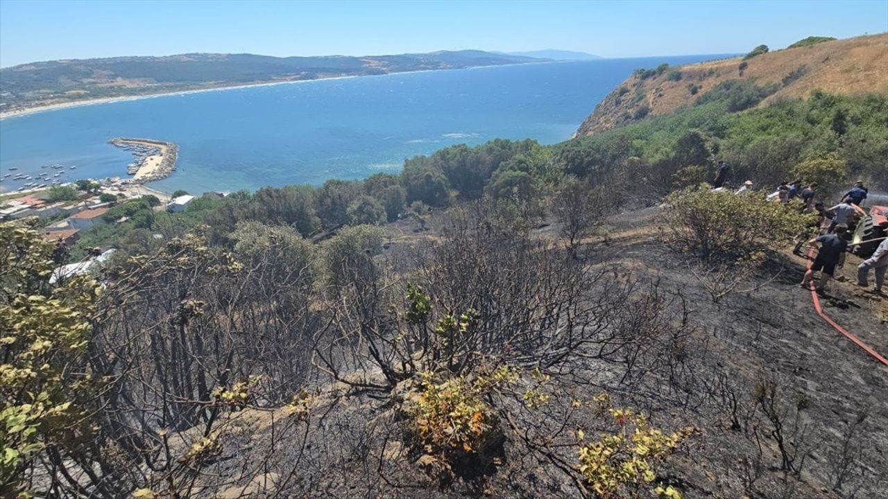 Bursa’nın Mudanya İlçesinde Zeytinlikte Çıkan Yangın Kontrol Altına Alındı