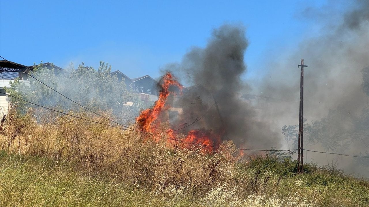 Büyükçekmece'de Otluk Alanda Yangın Çıktı