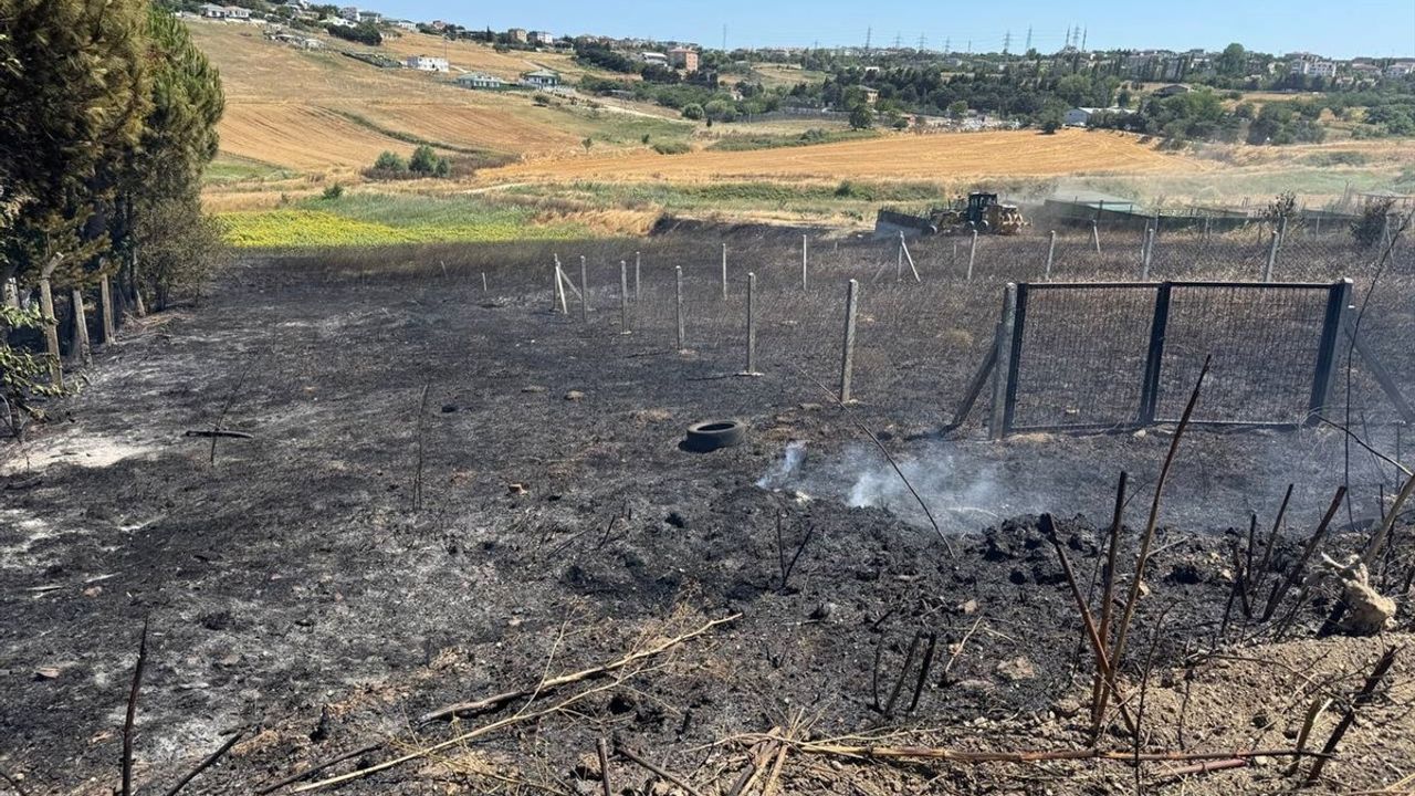 Büyükçekmece'de Otluk ve Ekili Alanda Yangın Kontrol Altına Alındı