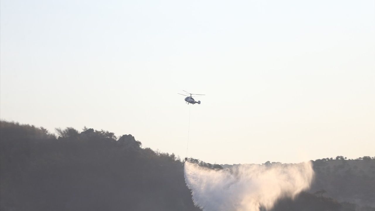Çanakkale Ayvacık'ta Orman Yangınına Hava ve Kara Müdahalesi Devam Ediyor