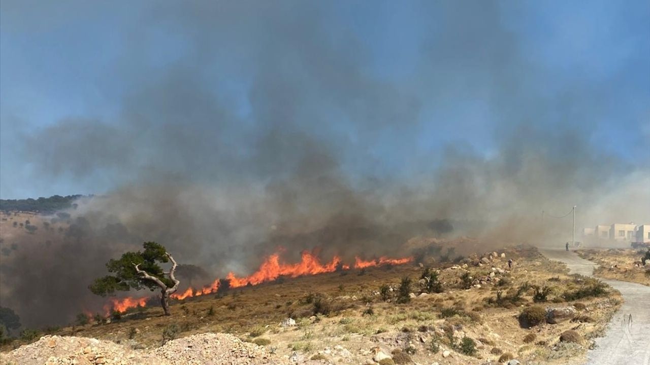 Çanakkale Ayvacık'ta Orman Yangınına Müdahale Ediliyor