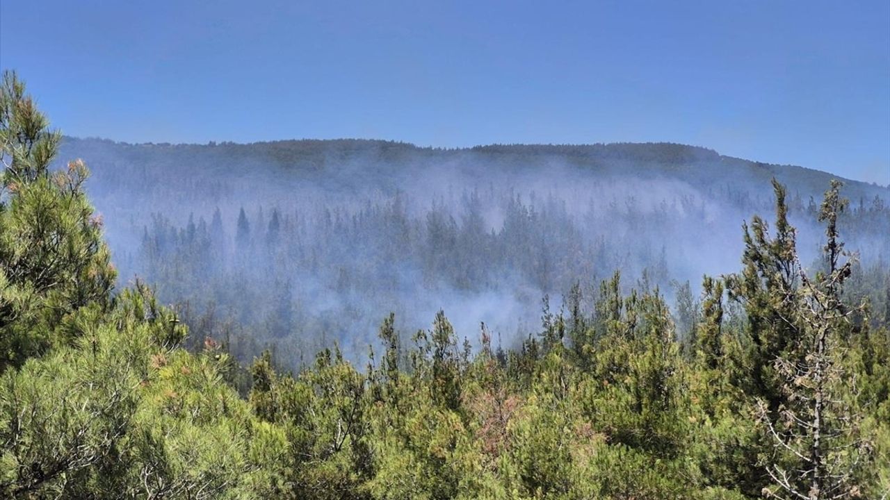 Çanakkale'deki Orman Yangını Kontrol Altına Alındı