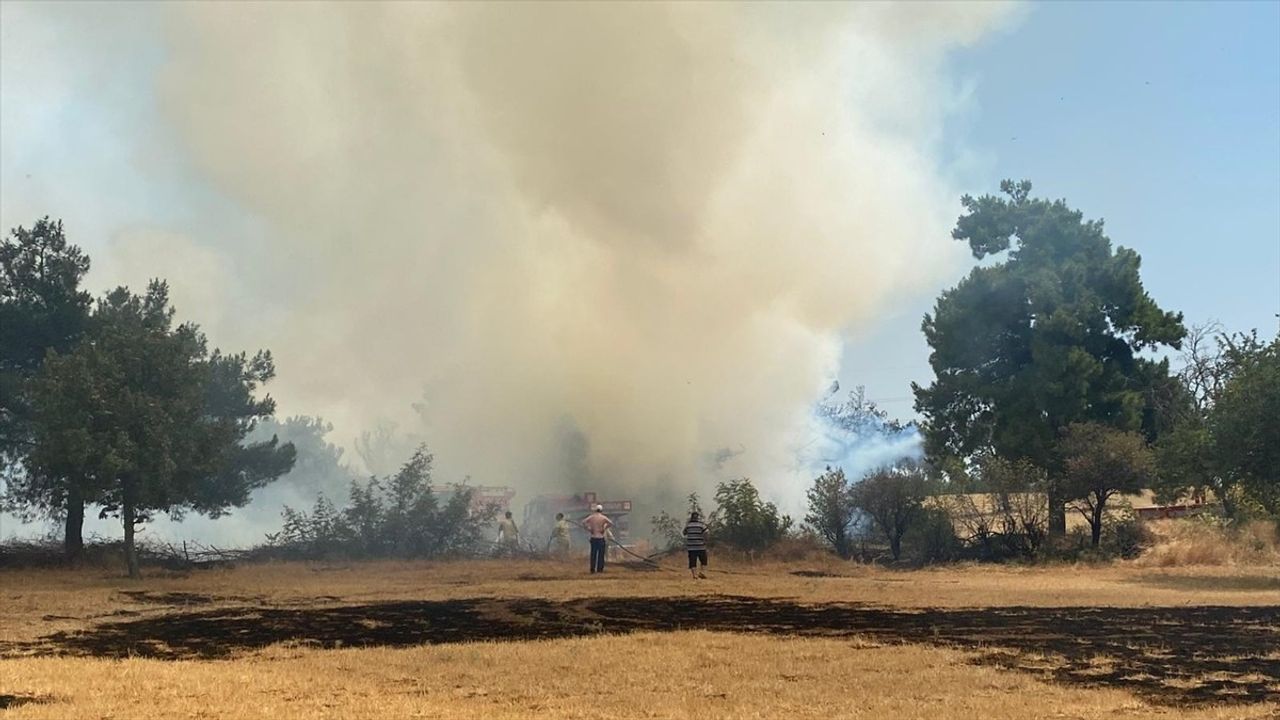 Çanakkale Ezine'de Orman Yangını Kontrol Altına Alınıyor