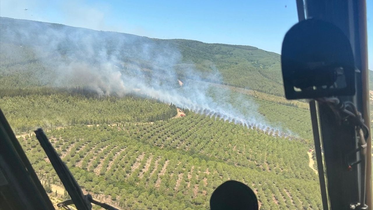 Çanakkale Lapseki'de Orman Yangınına Hızla Müdahale Ediliyor
