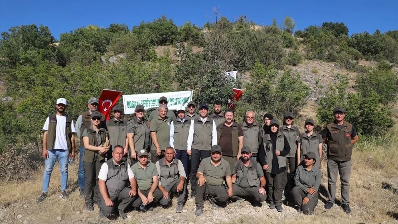 Çankırı'da 600 Kınalı Keklik Doğaya Salındı