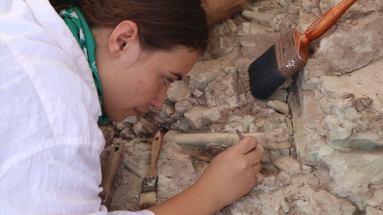 Çankırı'da Çorakyerler Omurgalı Fosil Lokalitesi'nde Kazılar Başladı