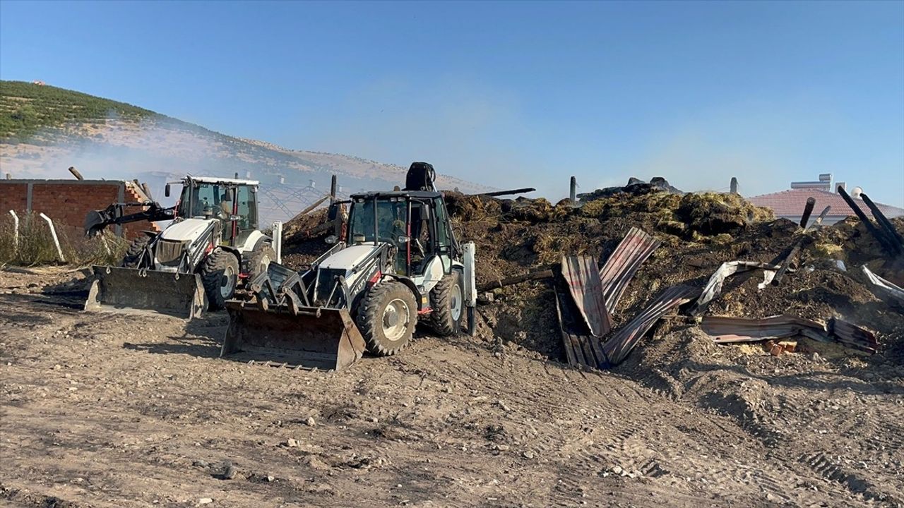 Çankırı'da Yangın: 100 Dekar Arazi Zarar Gördü, Çok Sayıda Hayvan Telef Oldu