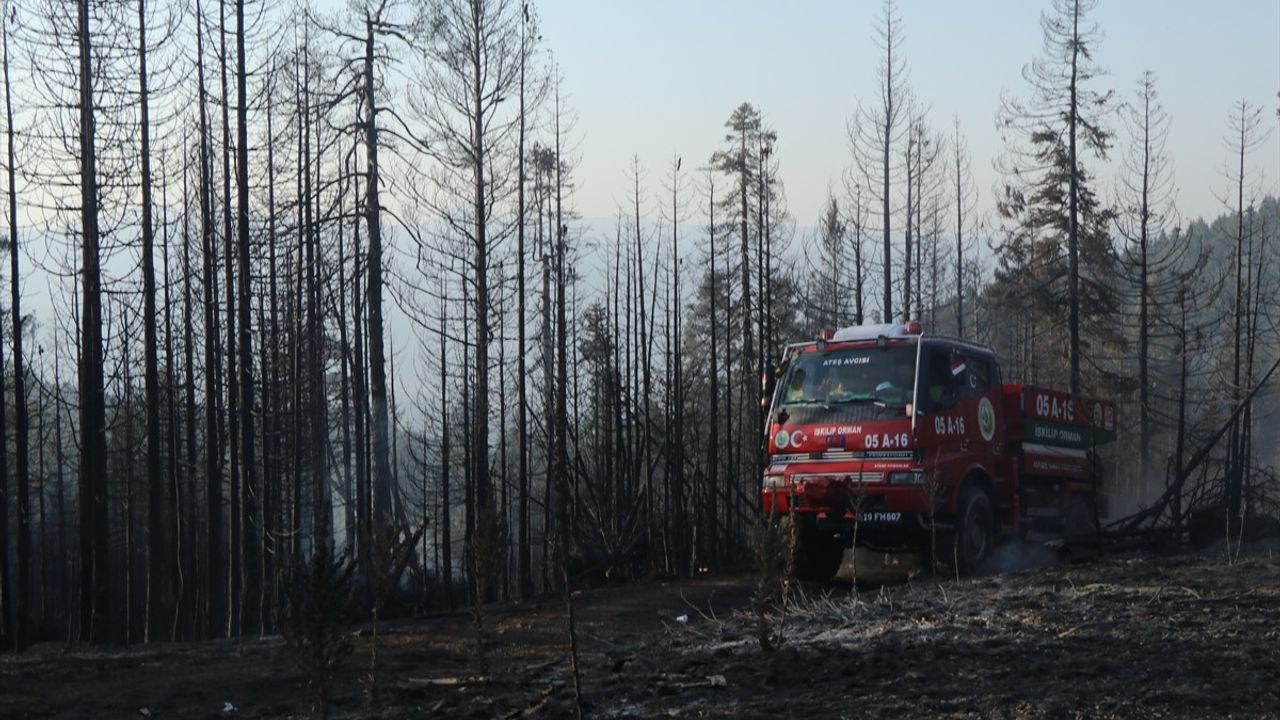 Çankırı'da Yangınla Mücadele Devam Ediyor