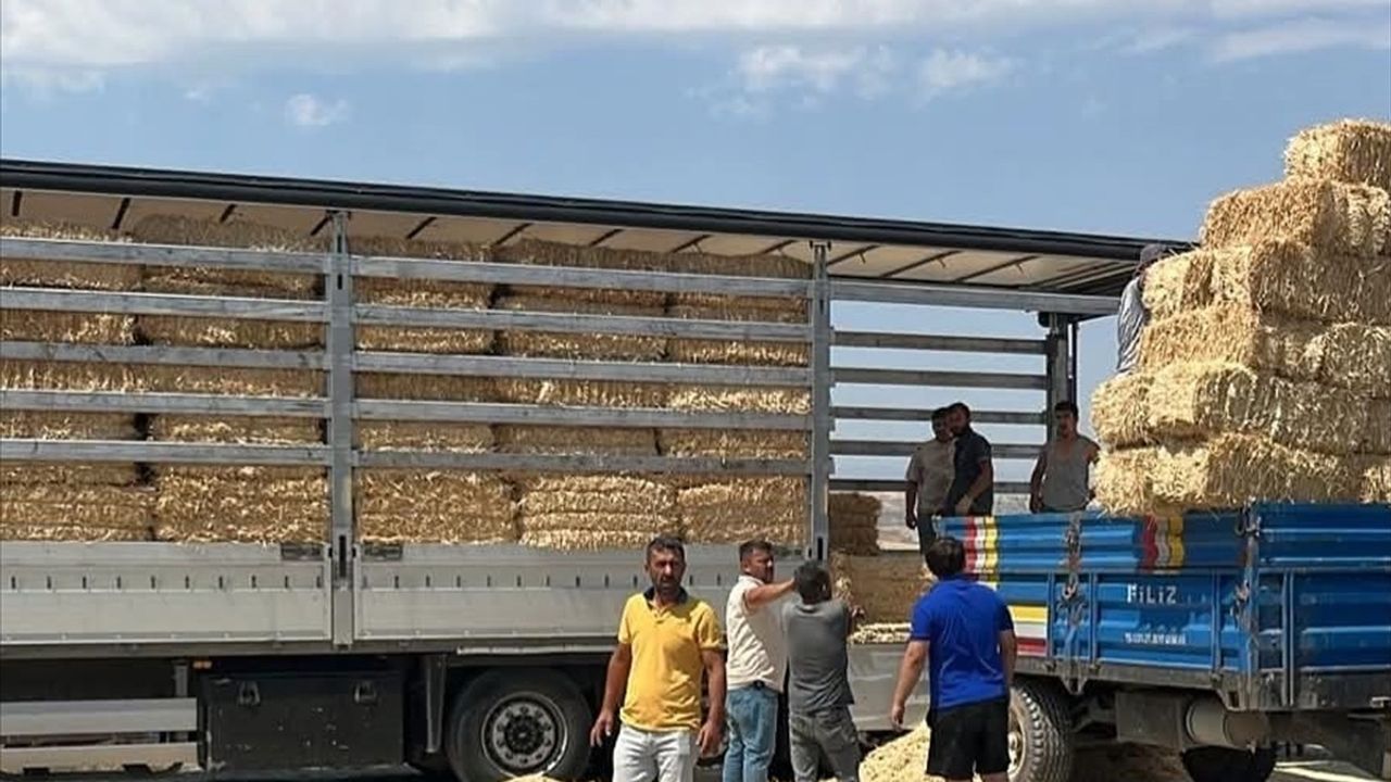 Çankırı'dan Karabük'teki Yangın Mağdurlarına Yem Desteği