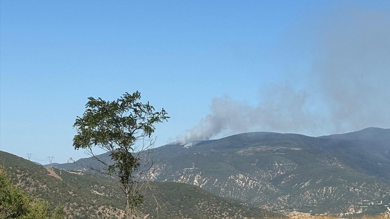 Çankırı'nın Ilgaz İlçesinde Orman Yangınına Hızlı Müdahale