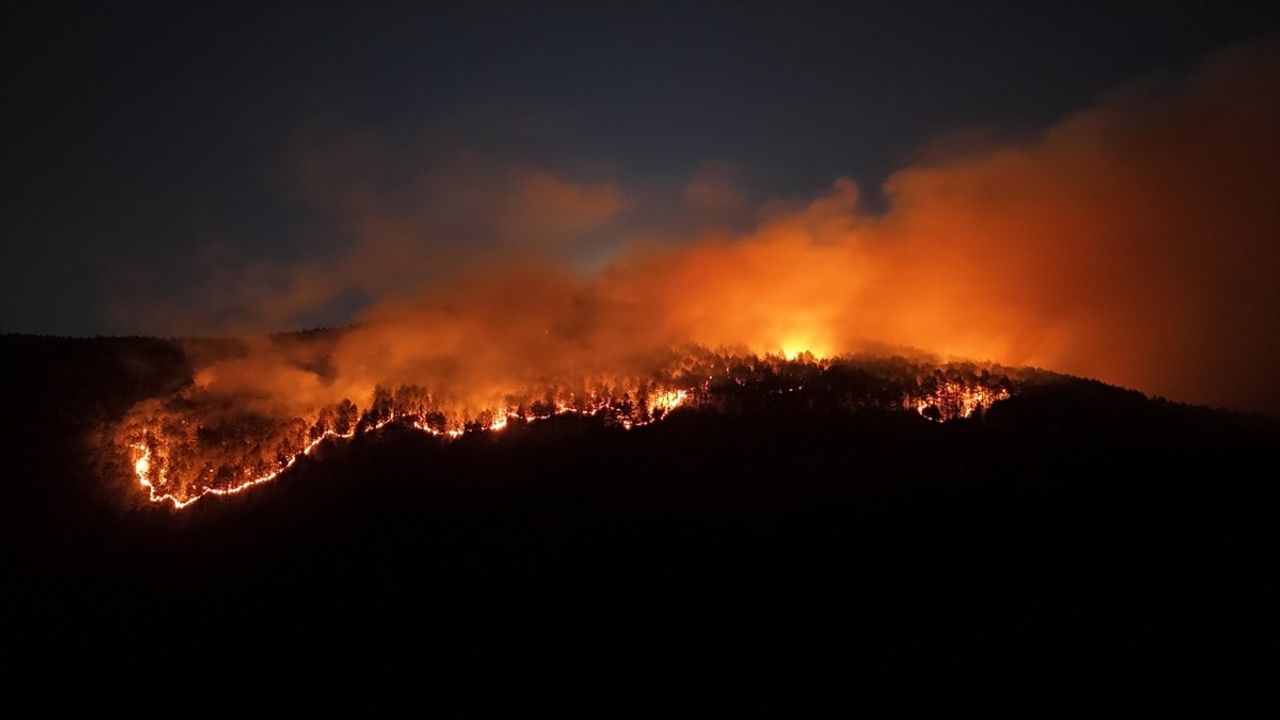 Çankırı'nın Ilgaz İlçesinde Yeniden Orman Yangını Çıktı