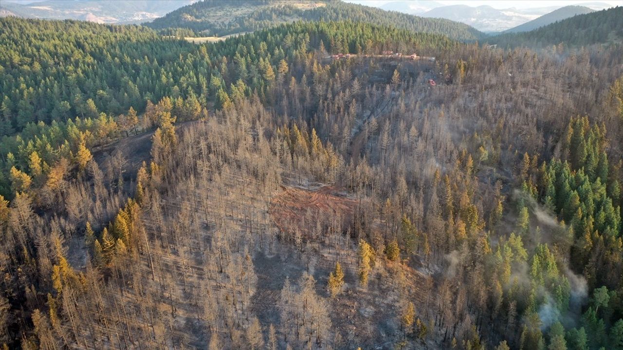Çankırı'nın Yapraklı İlçesindeki Orman Yangını Havadan Görüntülendi