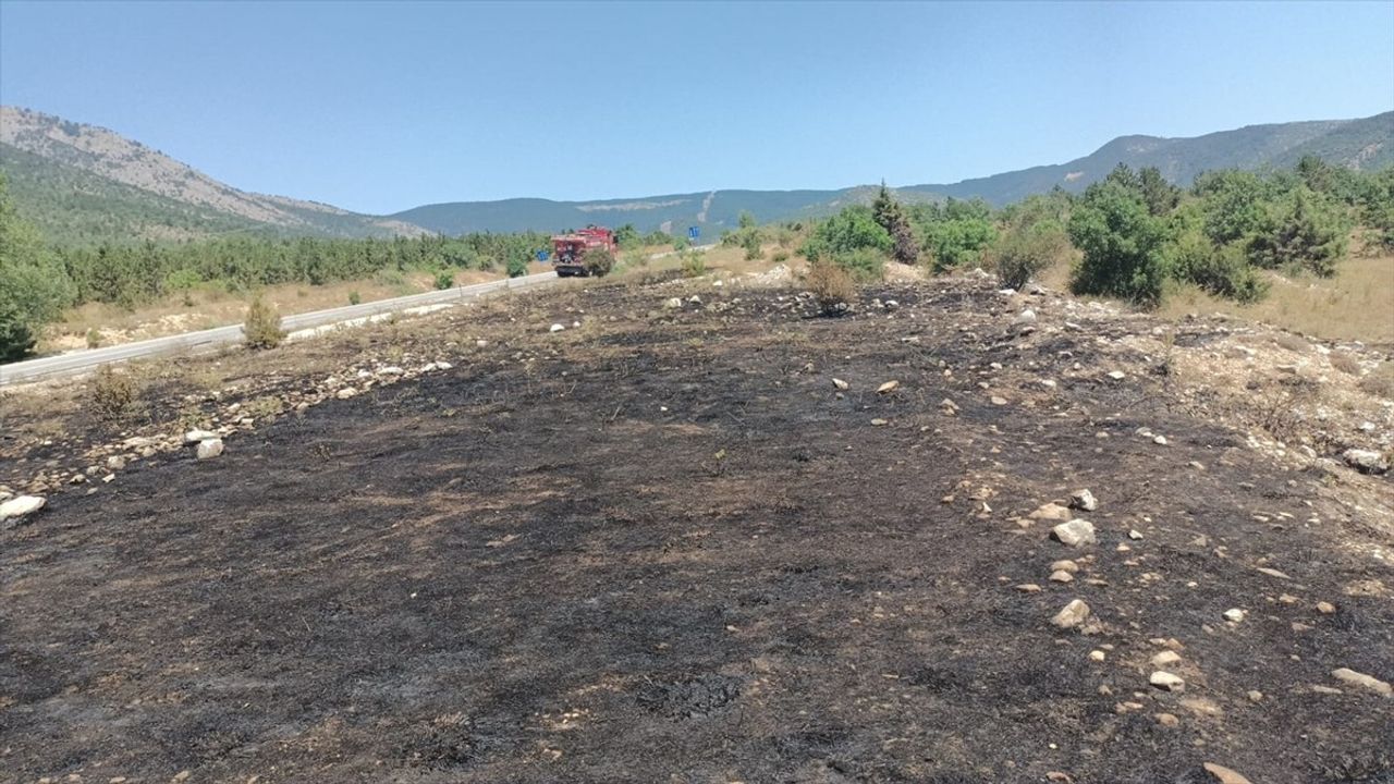 Çorum Kargı'da Orman Yangını Kontrol Altına Alındı