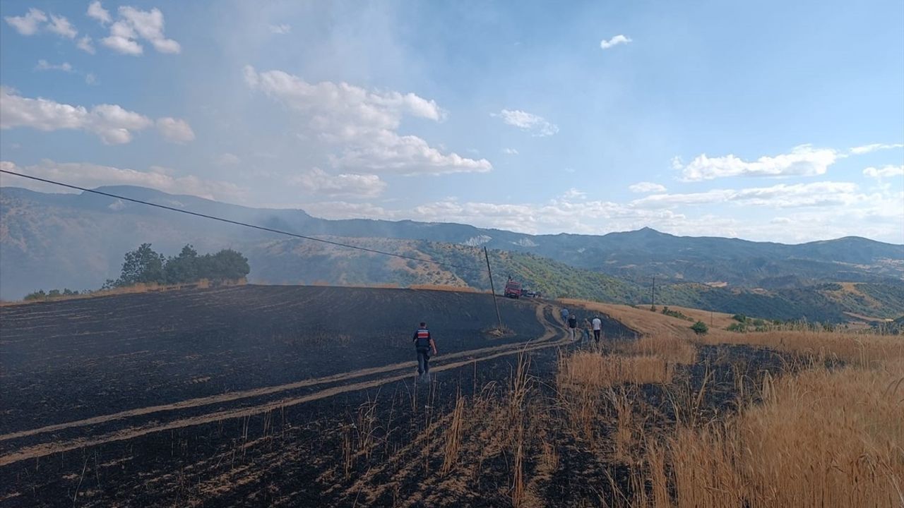 Çorum Uğurludağ'da 25 Dönüm Buğday Tarlası Yangında Zarar Gördü