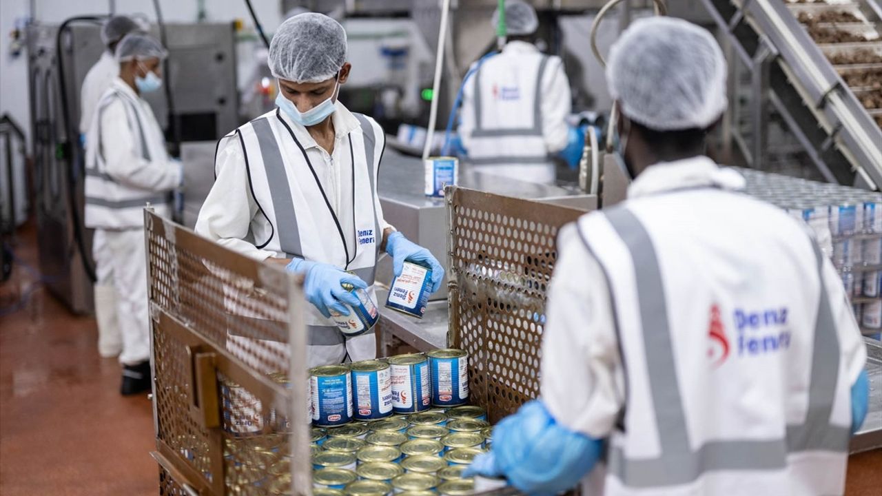 Deniz Feneri Derneği, Kurbanlıkları Dubai'de Konserve Haline Getirip Gazze'ye Gönderiyor