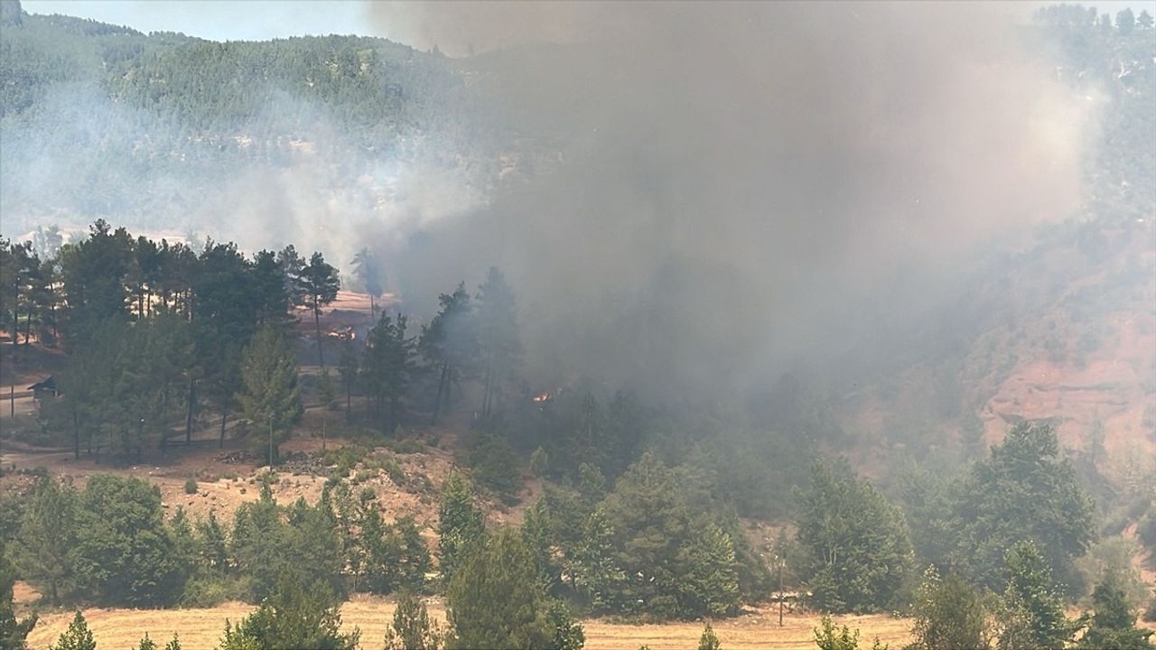 Denizli Acıpayam'da Anız Yangını Ormana Sıçradı