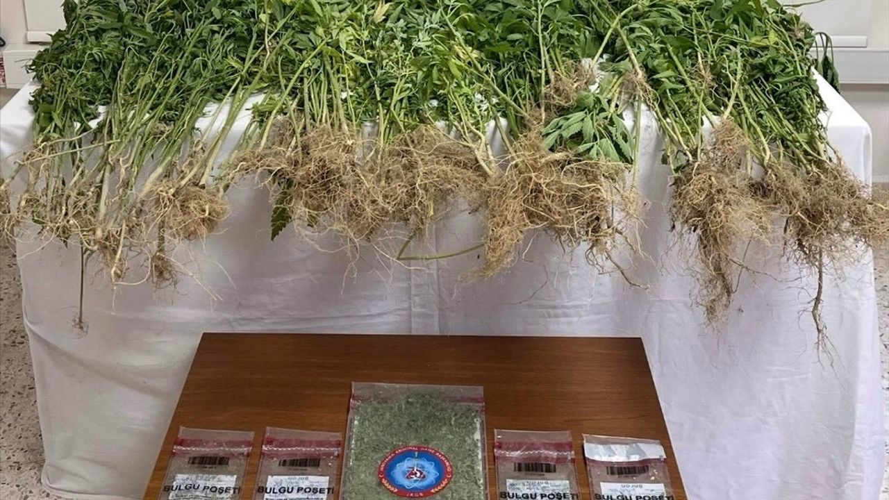 Denizli'de Uyuşturucu Operasyonu: 1 Şüpheli Tutuklandı