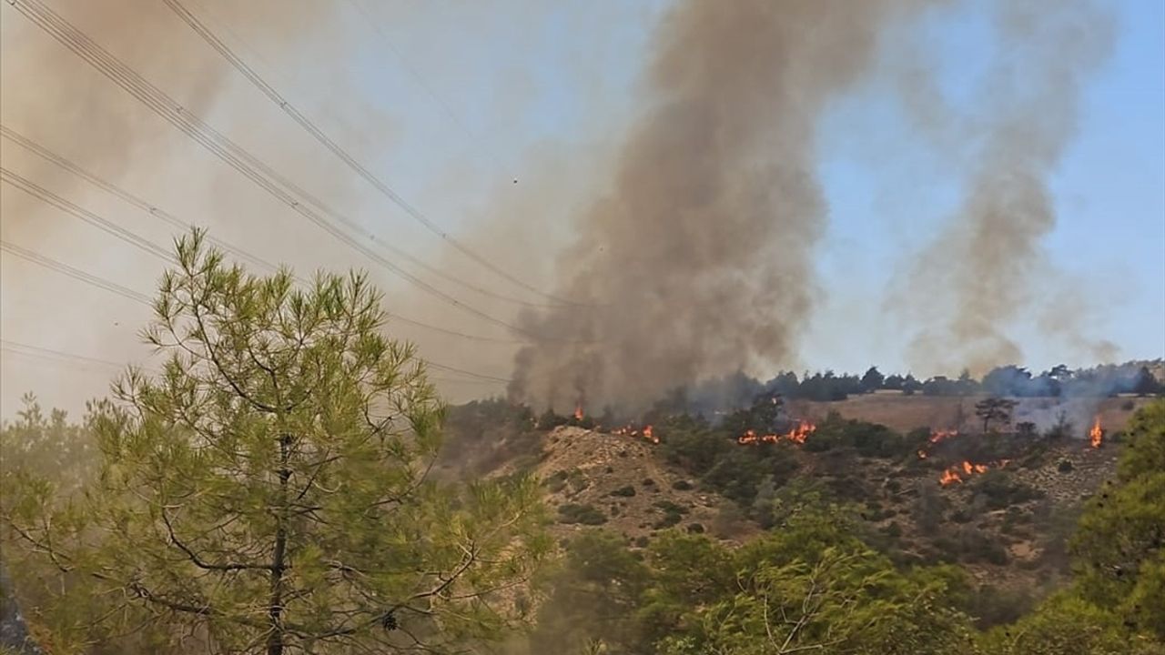 Denizli'nin Çal İlçesinde Çıkan Orman Yangını Kontrol Altına Alındı