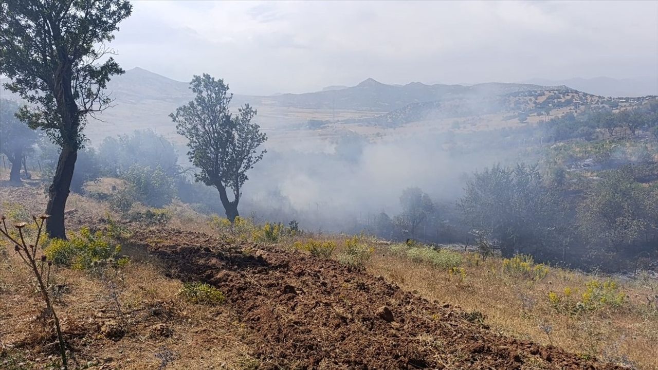 Diyarbakır'da Ormanlık ve Tarım Alanlarında Çıkan Yangınlar Kontrol Altına Alındı