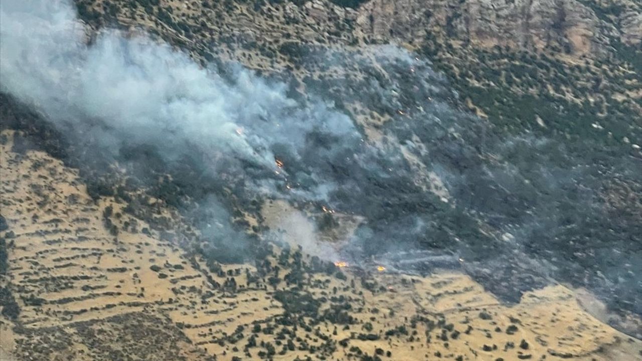 Diyarbakır'ın Lice İlçesinde Orman Yangınına Müdahale Devam Ediyor