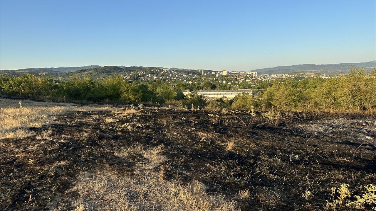 Düzce'de Örtü Yangını İtfaiye ve Vatandaş İşbirliğiyle Söndürüldü