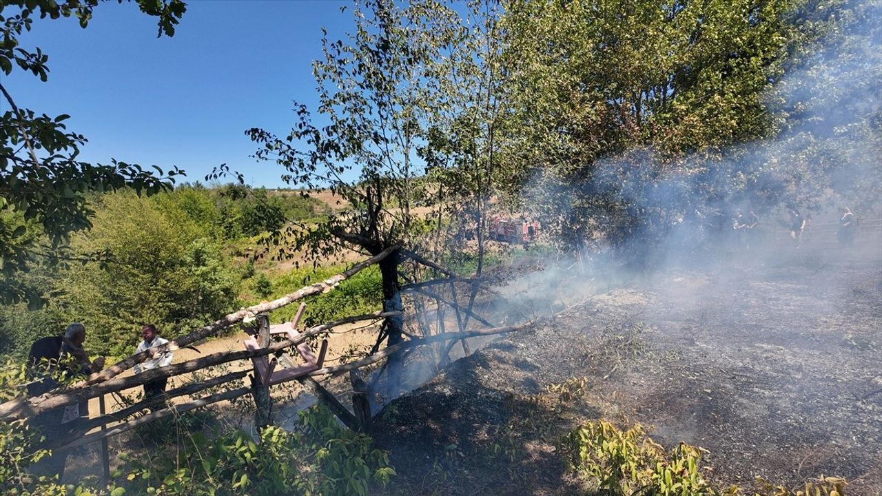 Düzce Yığılca&#039;daki Örtü Yangını Kontrol Altına Alındı