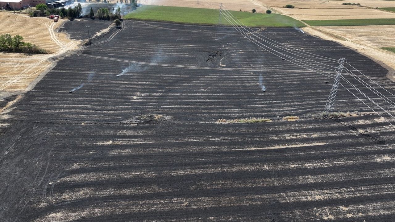 Edirne'de Buğday Tarlasında Yangın Söndürüldü
