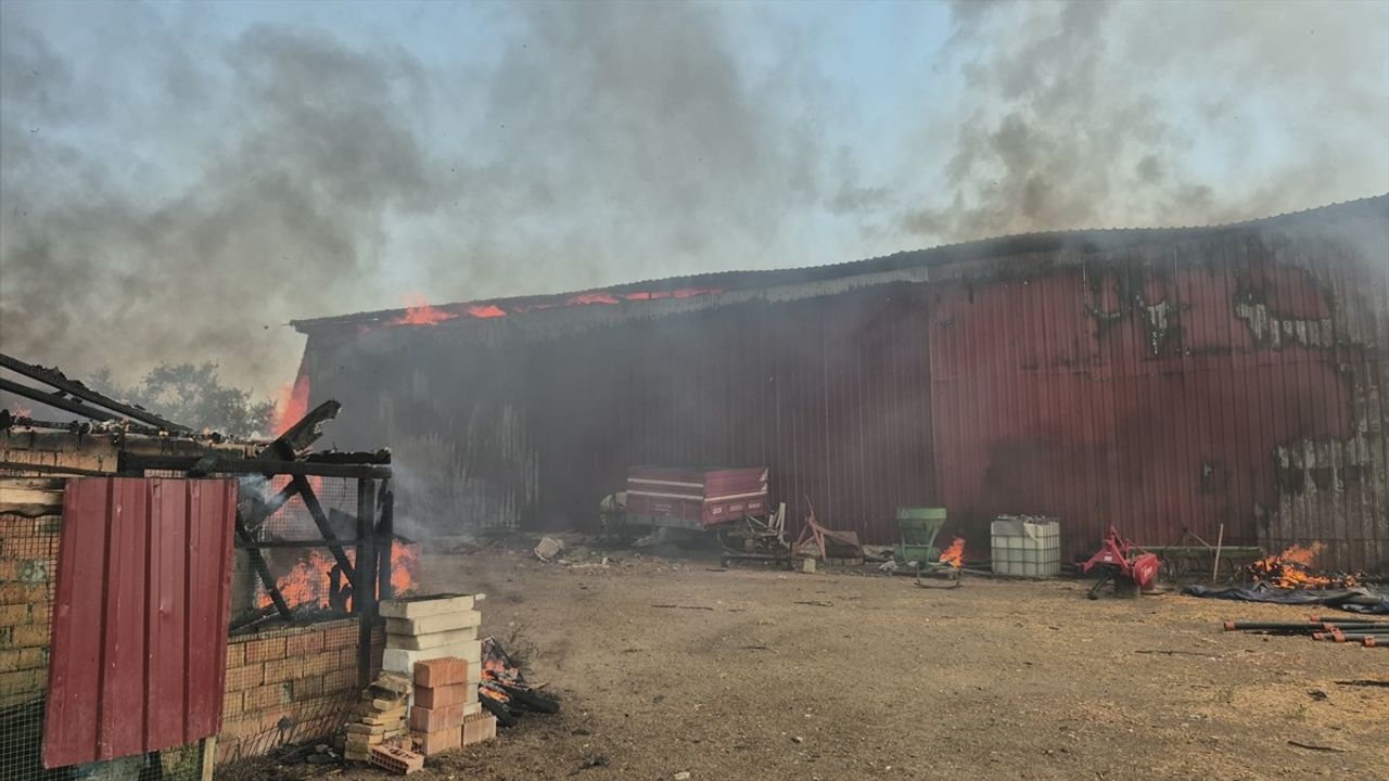 Edirne'deki köy yangınında 80 küçükbaş hayvan telef oldu