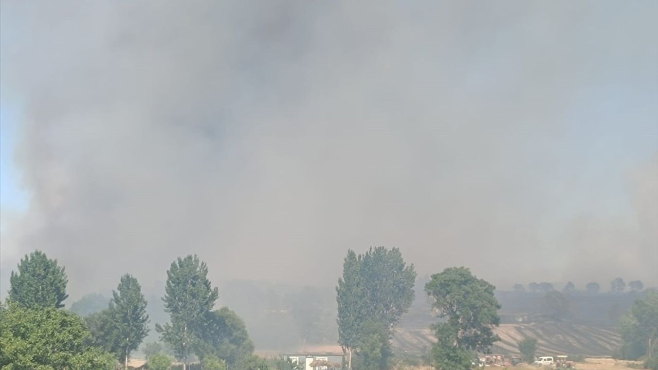 Edirne'deki Orman Yangını Kontrol Altına Alındı