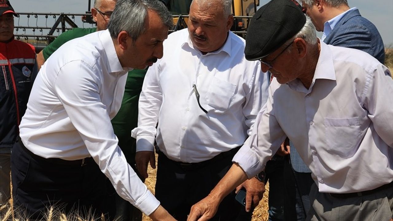 Edirne Valisi Sezer, Buğday Hasadına Katıldı